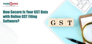 gst filing software